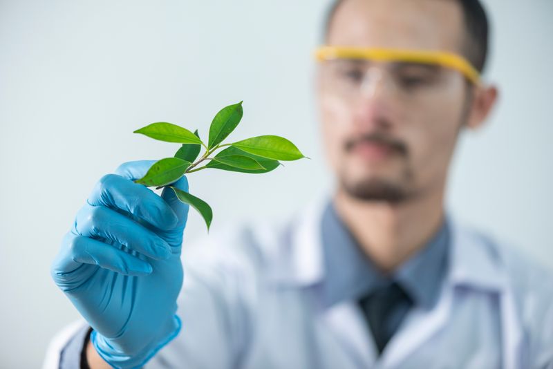 Environmental Science